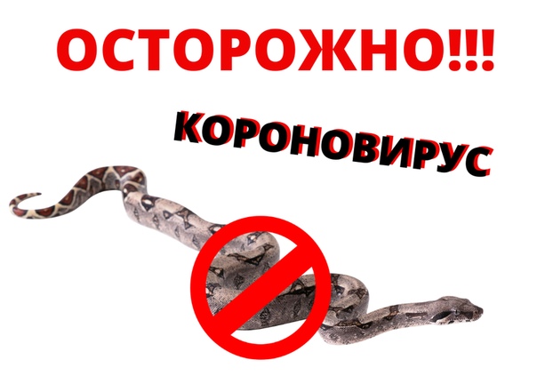 Осторожно коронавирус картинка
